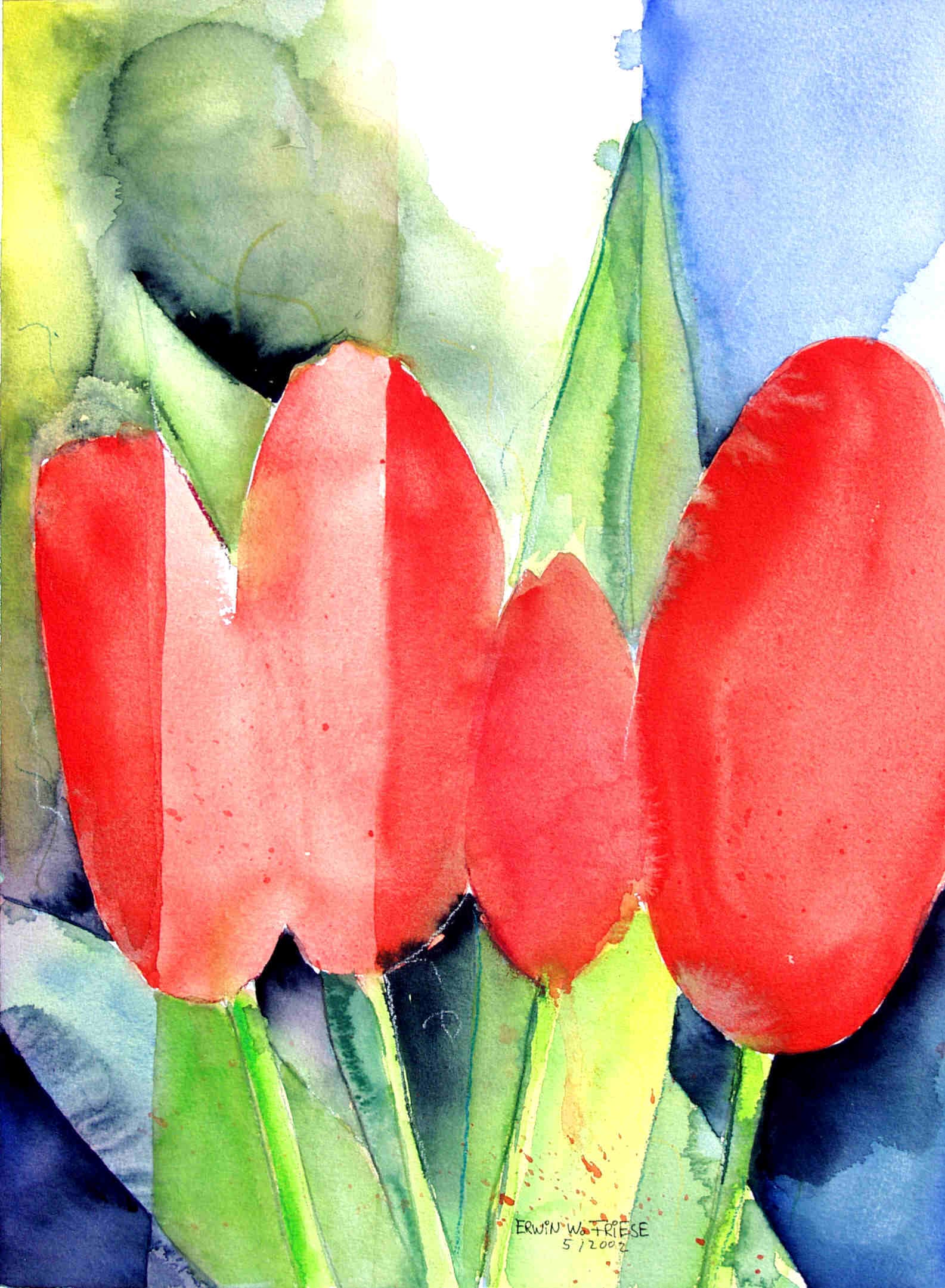 4Tulpen